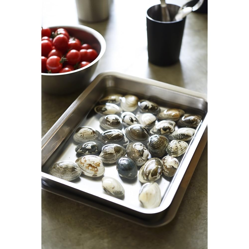 La Base Tsubame-Sanjo Stainless Steel Rectangular Tray 21cm Made in Japan la base Yoko Arimoto