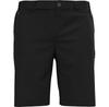 Шорты Odlo Ascent Light Short Черный