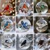 Acrylic Nature's BirdsOrnament Ornament Gift 7cm Xmas Tree Ornament Charm  New Year