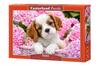 Puzzle 500 pezzi B-52233 Cucciolo tra Fiori Rosa