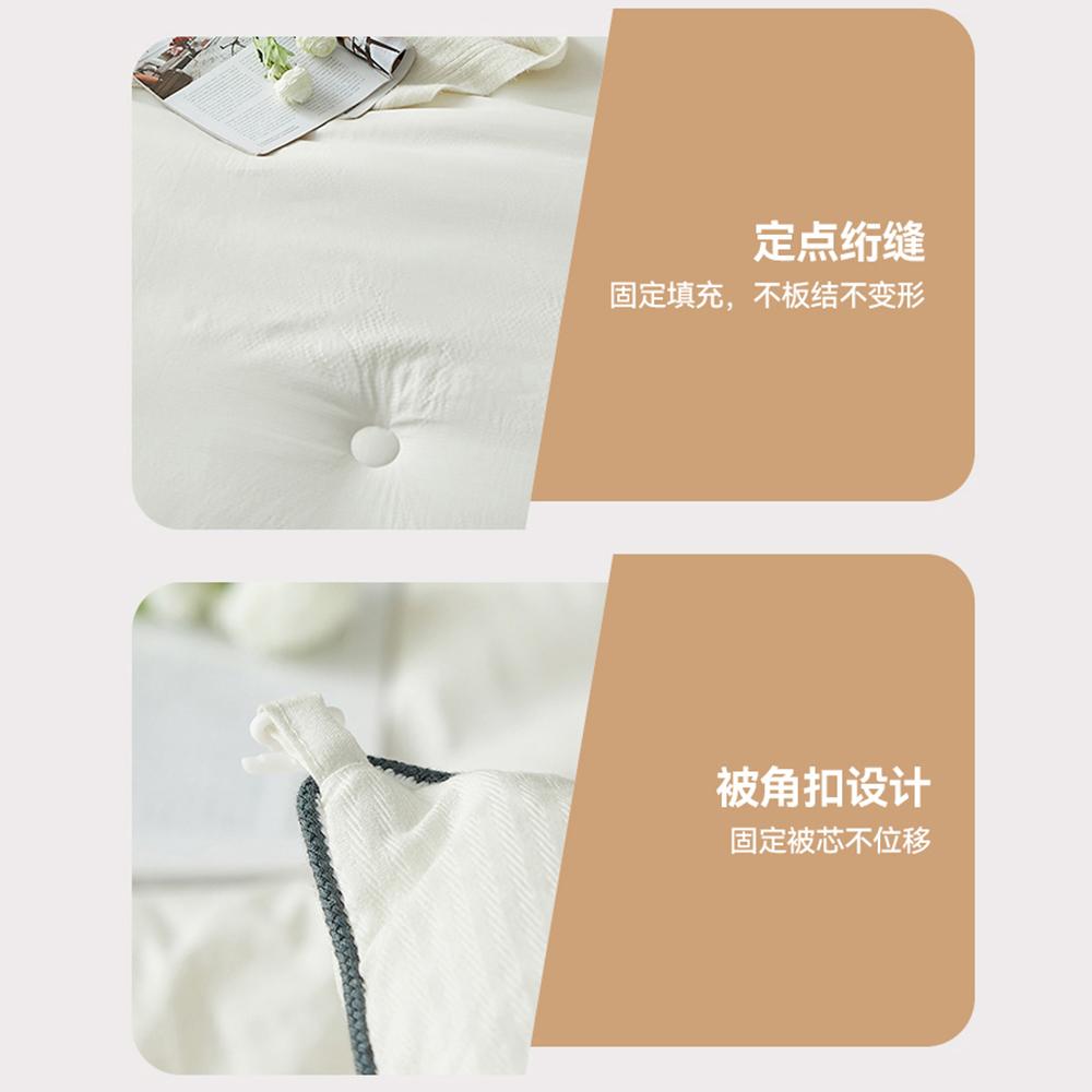 FAMCX GJILY Soybean Fiber Filling Comforter Queen Size Warm Comfortable Duvet Quilted Thin Blanket Double Bed Bedding 180x220