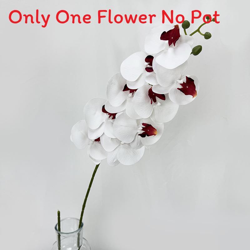 Phalaenopsis Aphrodite Rch Artificial Flower For Wedding Decor And Home Arrangement