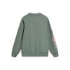 Li Ning Skateboard Sweatshirt Men's Mountain Green AWDU137-5