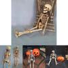 Human Skeleton Scary Skull Haunted House Halloween Prop Party Decor Atmosphere