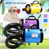 2800W Pet Fur Dryer Grooming Blower Dog Cat Hairdryer Blaster Heater Low Noise New