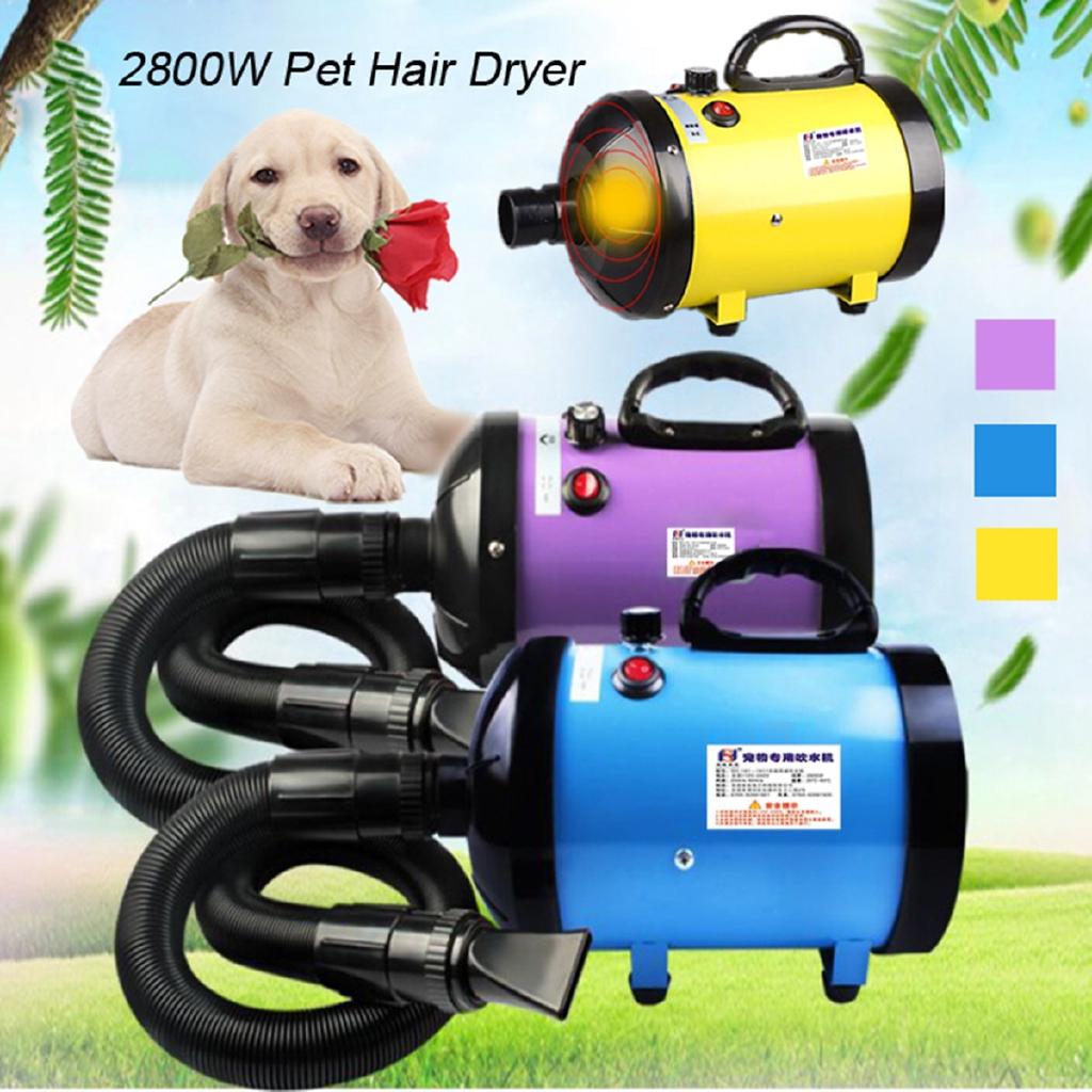 2800W Pet Fur Dryer Grooming Blower Dog Cat Hairdryer Blaster Heater Low Noise New