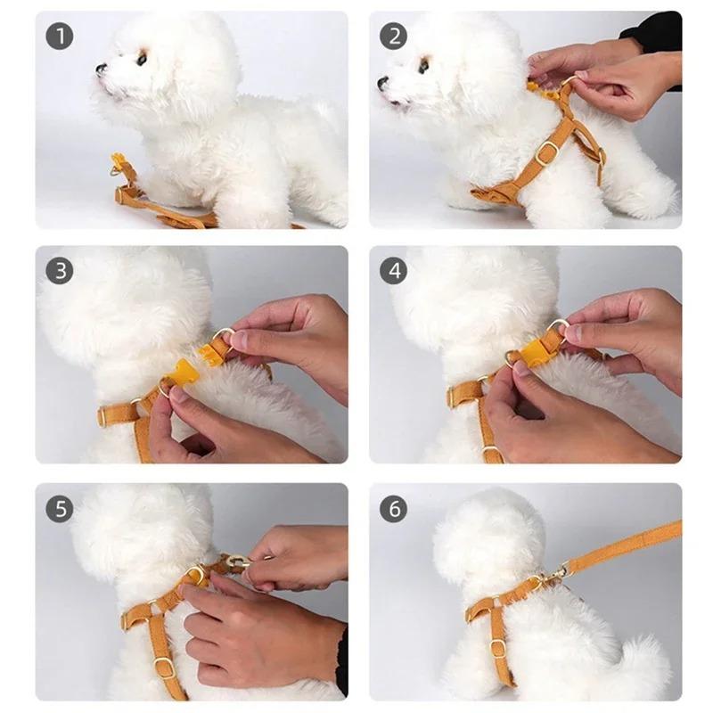 Puppy Accessories Harness for Big Dog Pet Shop Everything Dogs Training Collar Harnesses and Wears Necklaces