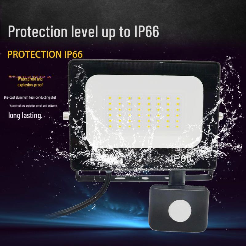 20W IP66 LED Motion Sensor Floodlight with Sound-Light Control