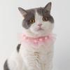 Collare Decorativo per Gatti Collare a Rete per Animali Domestici Sciarpa per Cani Collare Sciarpa per Cani Piccoli Pizzo