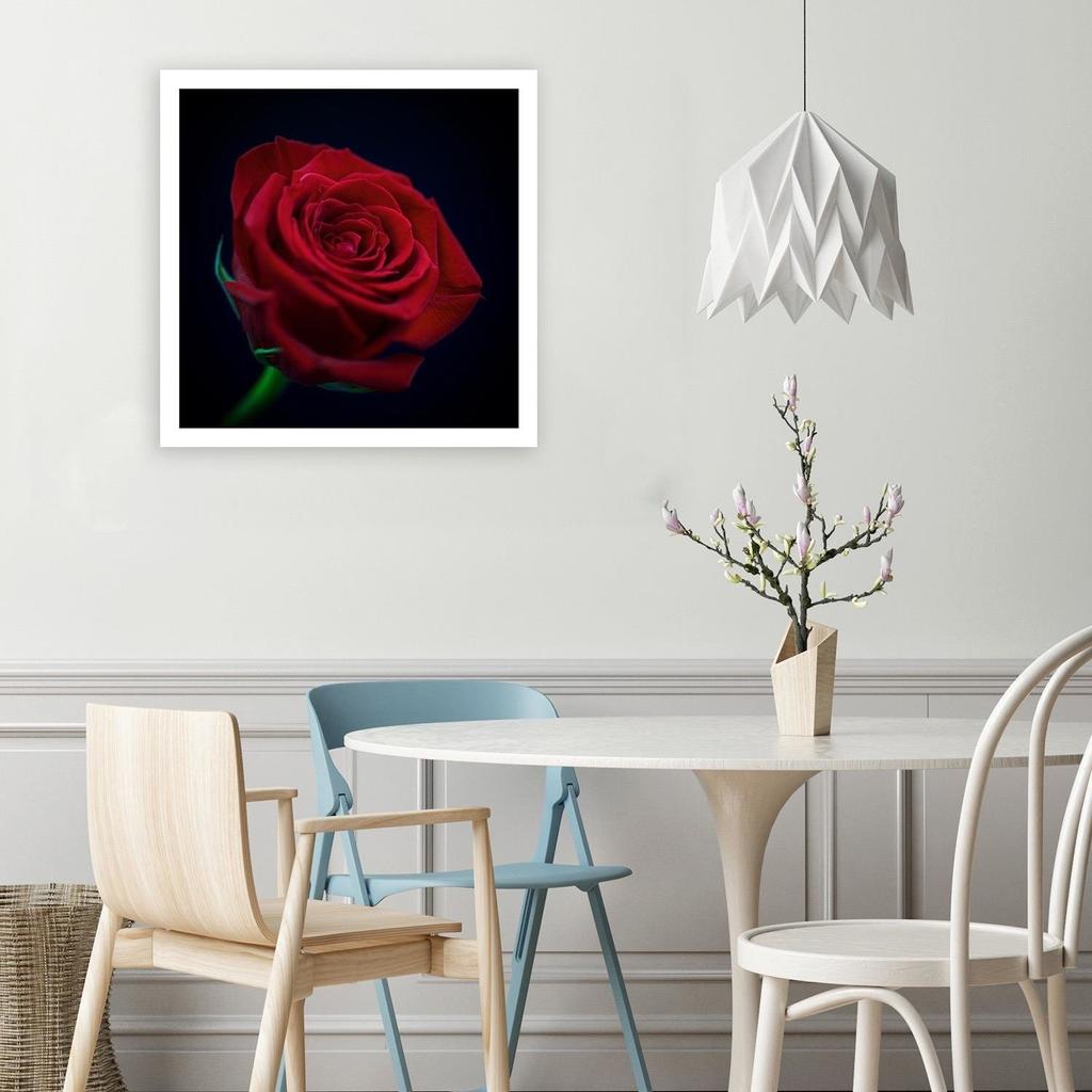 Canvas Print Red Rose Blossom