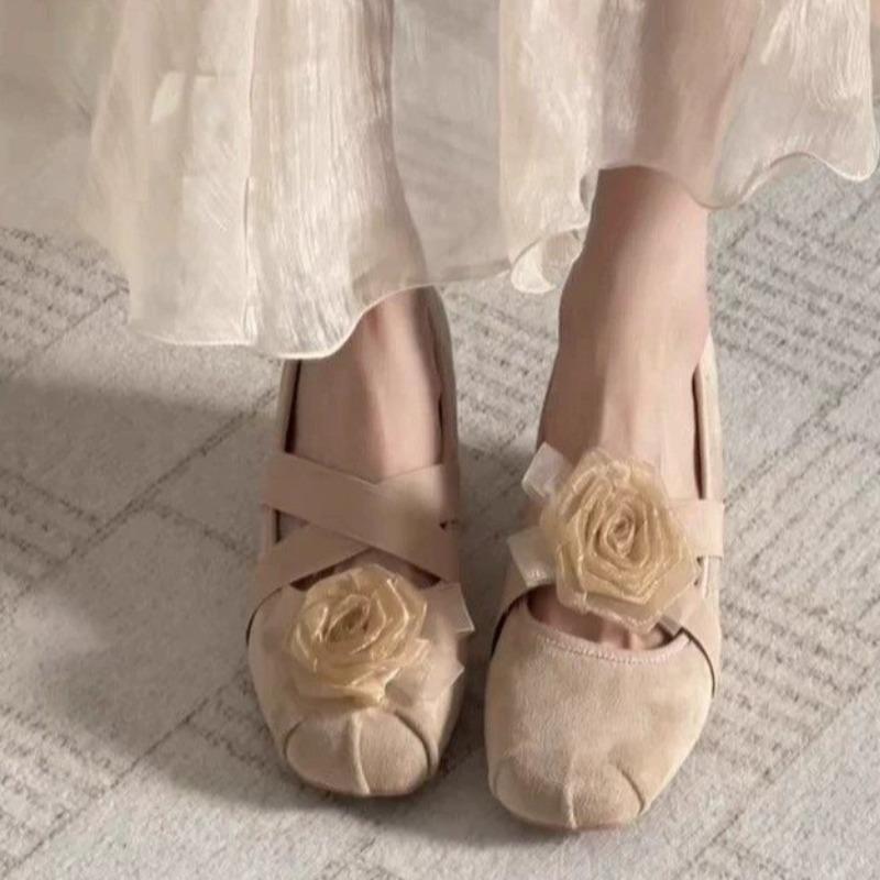 Small Inside Heightened Shallow Single Shoes Women's Spring 2025 New Retro French Temperament Mary Jane Shoes