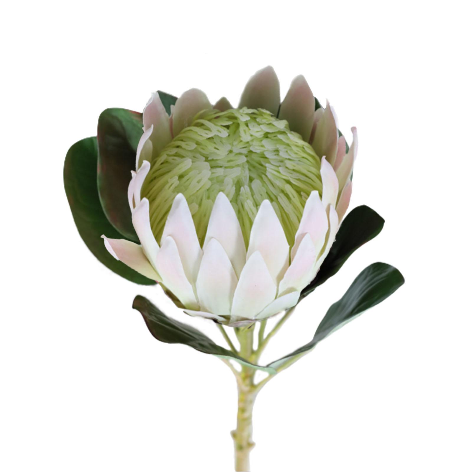 

Artificial King Flower Simulation Plant Living Room Decorative Flower Photo Props Fake Flower