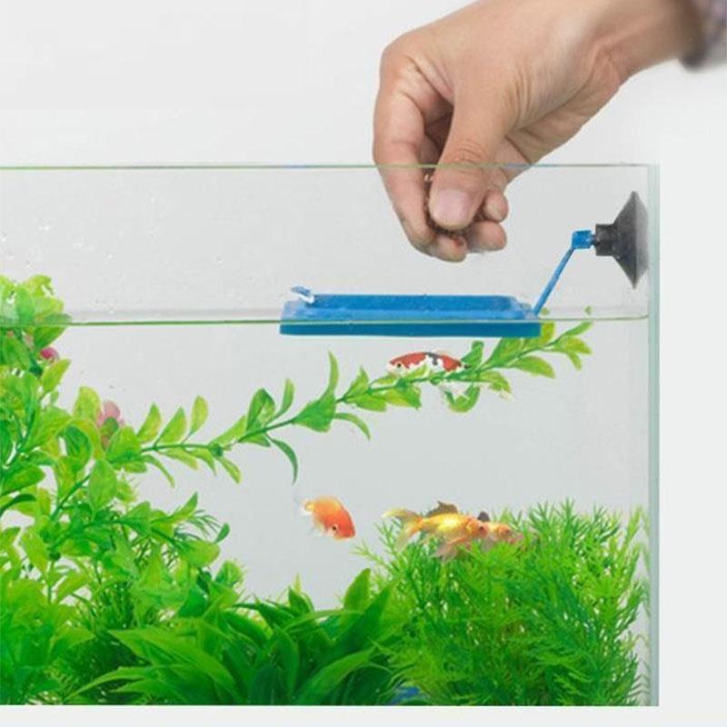 Feed Suction Cup Aquarium Feeding Ring Fish Tank Station Floating Food Tray Feeder Square Circle Accessory Fish Food Feeder