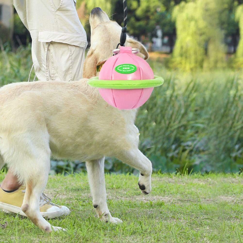 Colorful Dog Poop Bag Holder Hanging Dogs Waste Bag Holder Dog Poo Bags Dispenser Walking