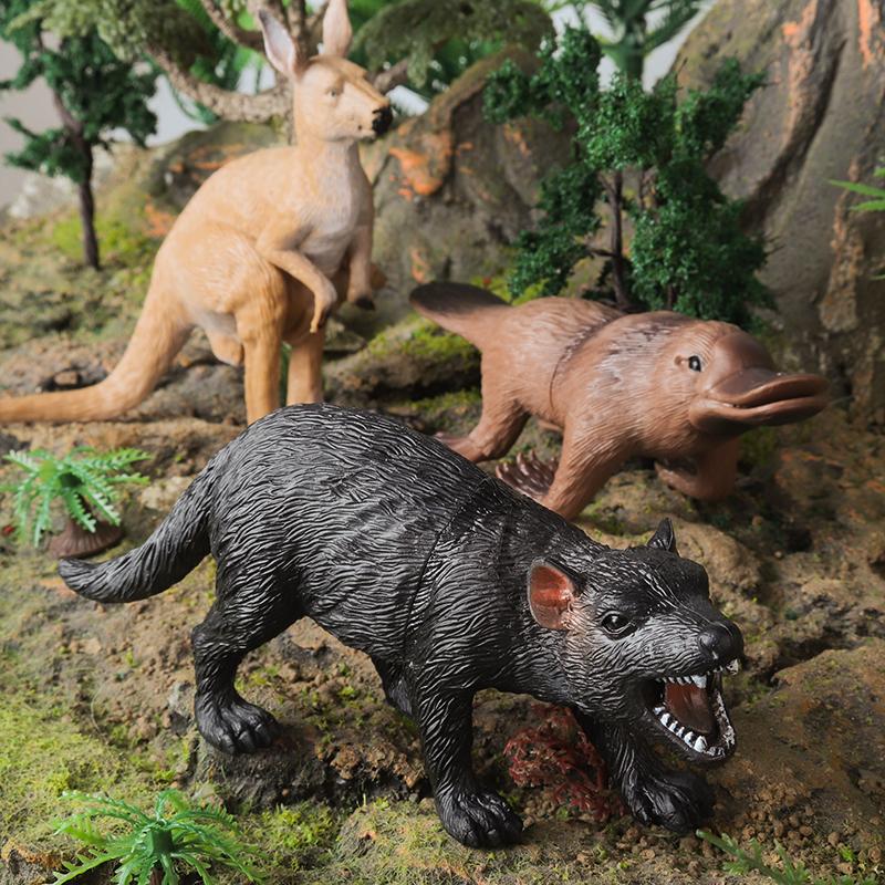 Oenux 6pcs Classic Australian Africa Wild Animals Kangaroos Koala Cassowary Hyena Warthog Model Action Figure Figurine Toy Kid