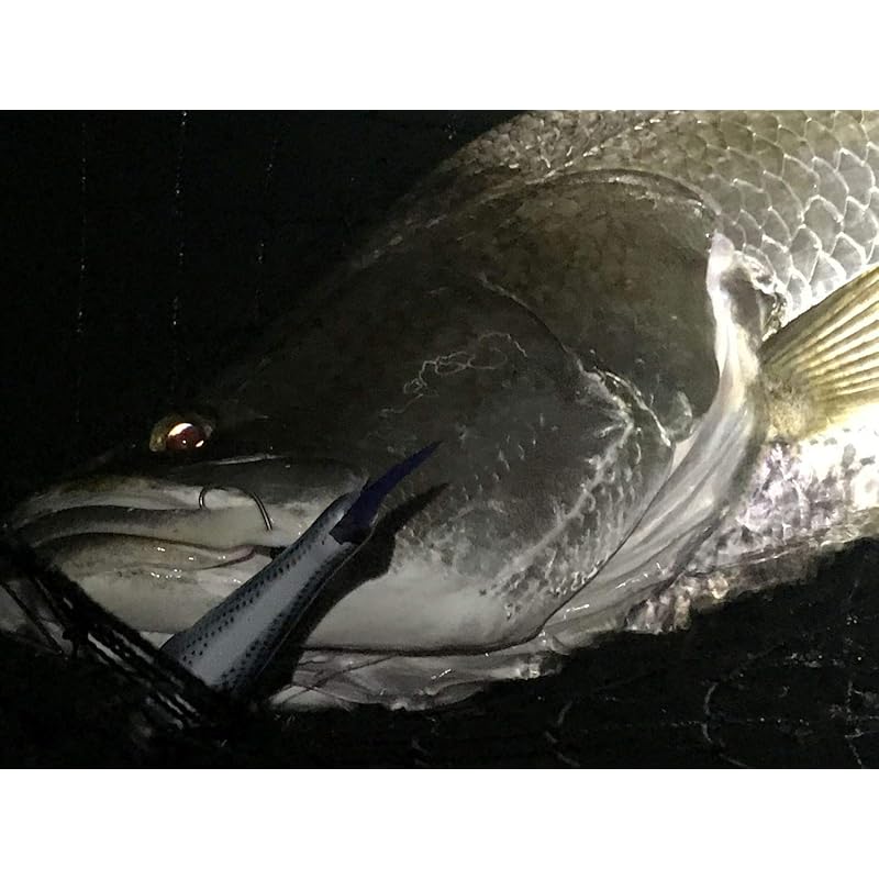Gamakatsu Treble Hooks, TGW Twin SP-M NSC