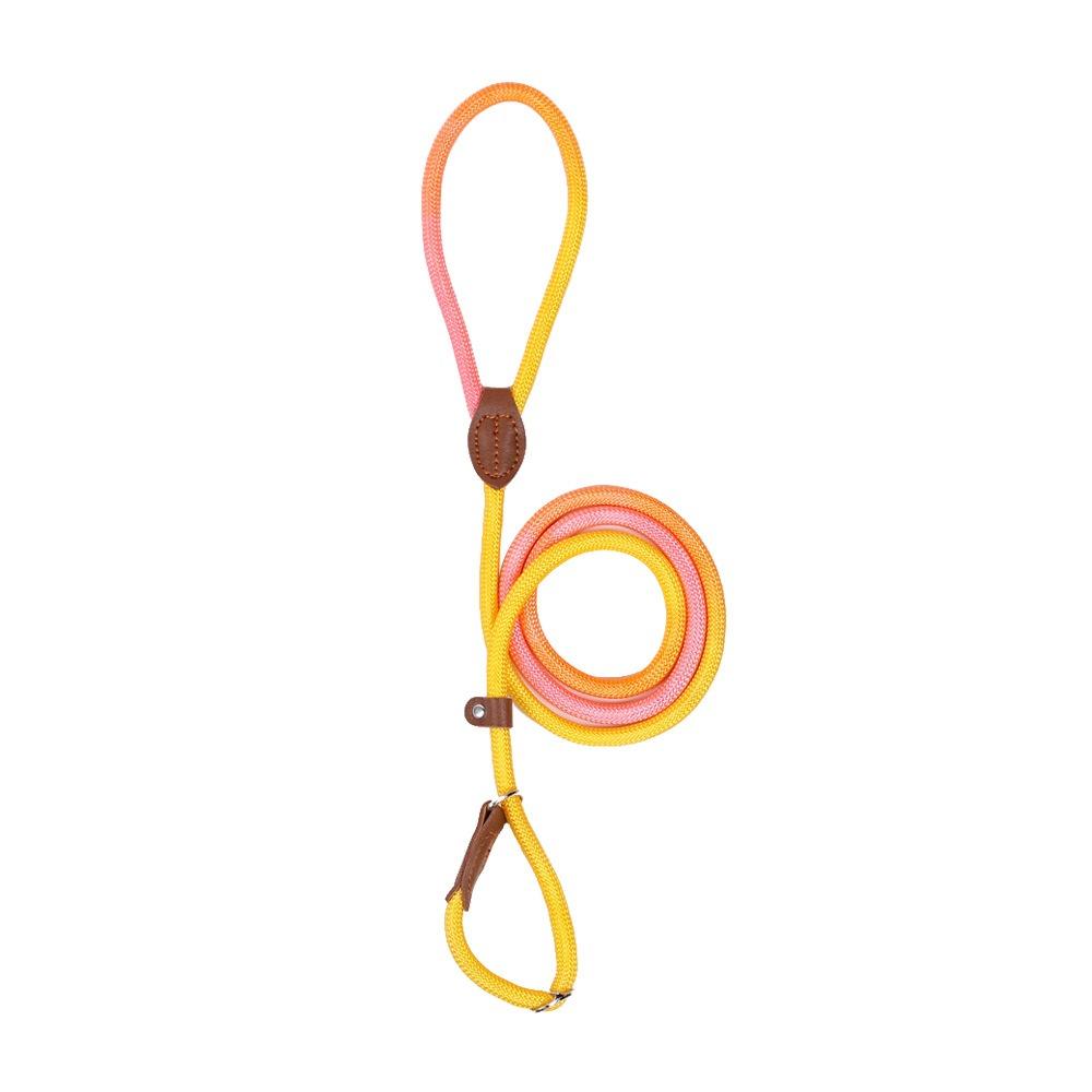 Manufacturer Punch Nylon Dog Collar Leash Set Luxury Style Colored Explosion-proof Feature Adjustable Durable Pet Gear
