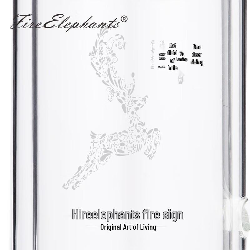 Huoxiang HXB-BLBG039S Glass Tumbler with Tea Infuser