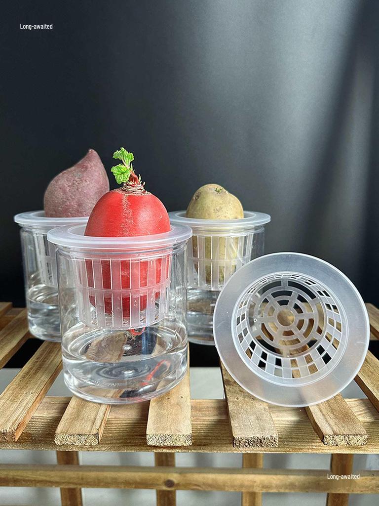 Transparent Plastic Hydroponic Planting Cylinder for Garlic, Potatoes, Beans, and Vegetables