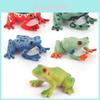 Tropical Rainforest Animal Rhacophoridae Model Pvc Static Figurine For Education And Collection
