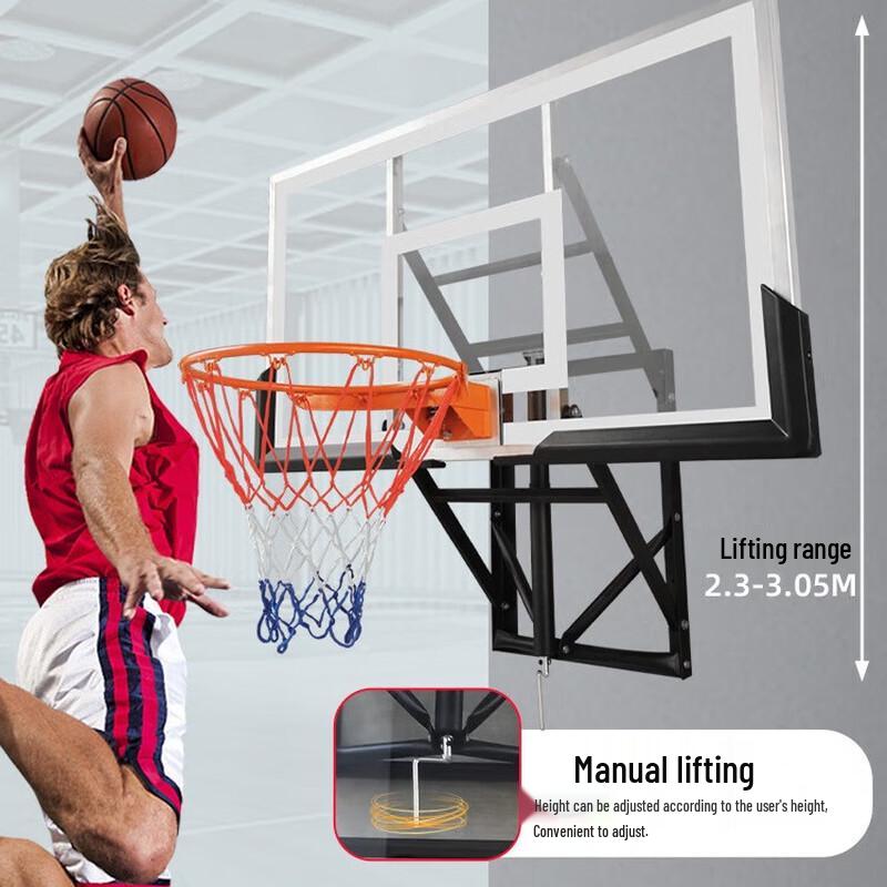 WEZHO Wall-Mounted Basketball Hoop