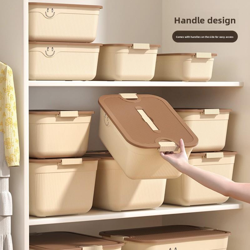 Desktop Storage Box, Snacks, Sundries, Fruit Storage Basket, Portable Plastic Home Clothing Storage and Finishing Box with Lid.