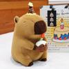 New Product Kapibala Plush Toys Cute Birthday Cake Capybara Doll Event Gifts