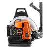 Heavy-Duty Gasoline Backpack Blower CN Plug (adapter Included)