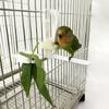 Bird Cage Food Holder, Parrot Fruit Vegetable Clips With Perches Stand, Bird Cage Accessories, Pet Feeder Clips For Budgie Parakeet Cockatoo Macaw Coc