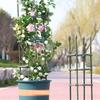 Horticultural Pitaya, Climbing Rose, Green Ivy, Climbing , Plastic-coated Steel Pipe, Flower Support Pillar, Rose Potted Plant