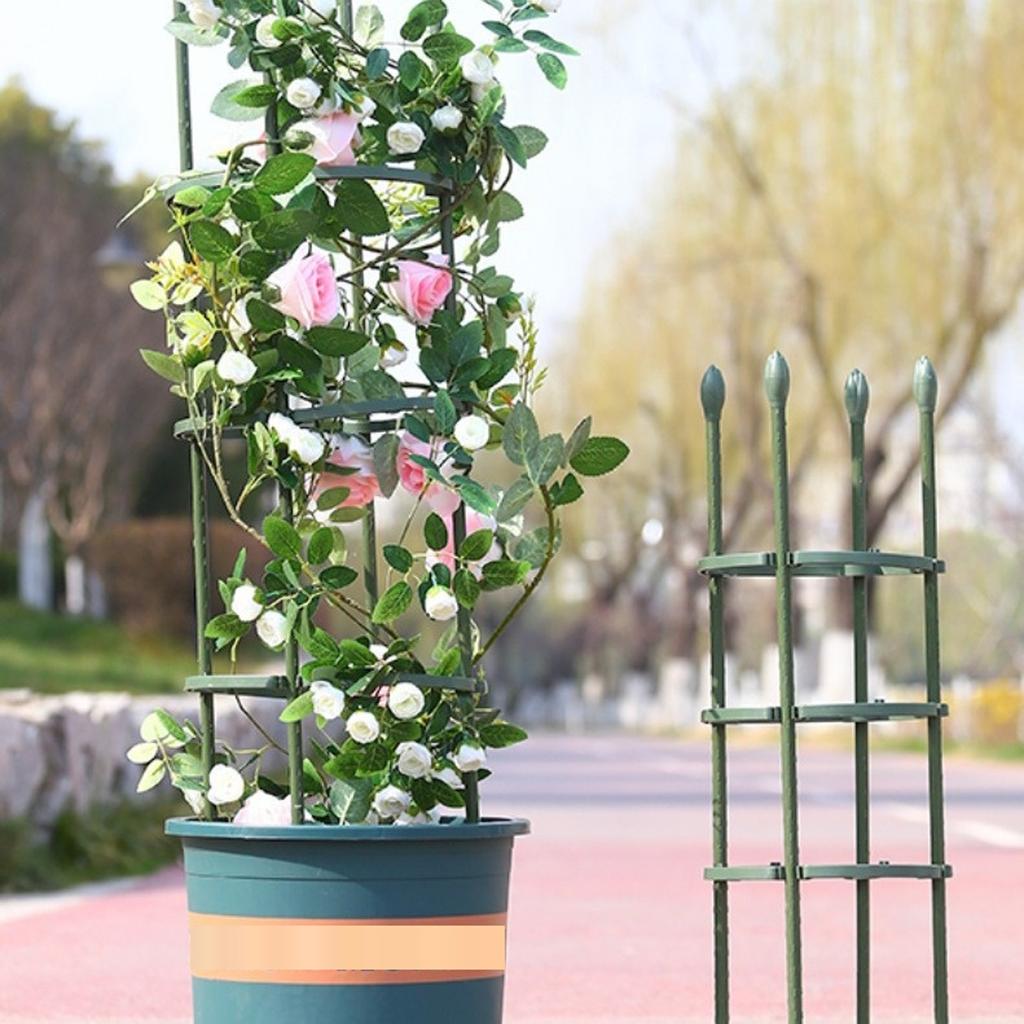 Horticultural Pitaya, Climbing Rose, Green Ivy, Climbing , Plastic-coated Steel Pipe, Flower Support Pillar, Rose Potted Plant