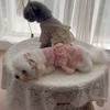 Waffle Lace Dog Pajamas Lace Camisole Cat Clothes Pet Supplies Pet Spring Summer Jumpsuit  Puppy