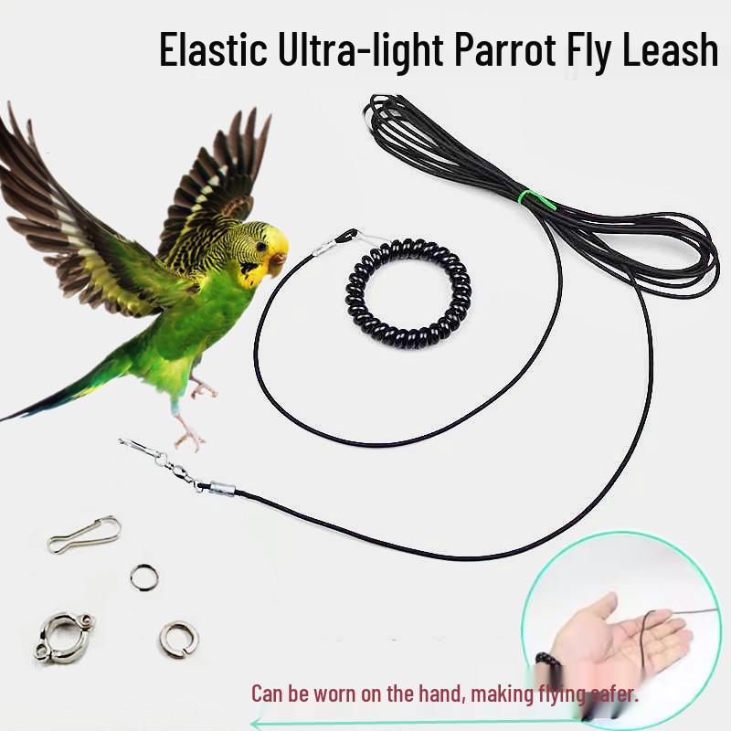 Ultralight Elastic Parrot Leg Leash for Cockatiels, Monk Parrots, and Peony Tigers with Safe Buckle