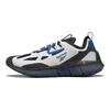 Reebok Zig Kinetica Concept Type 2 'Humble Blue' Sneakers FW5735