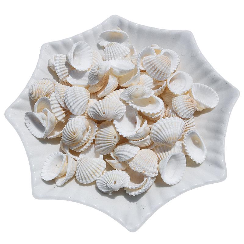 Handmade Natural Seashell Conch & Starfish Frame for DIY Fish Tank or Landscaping