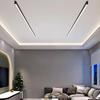 Modern LED Ceiling Light 50CM Long White For Living Room Hallway Bedroom Entrance Balcony Interior Lighting Fixtures