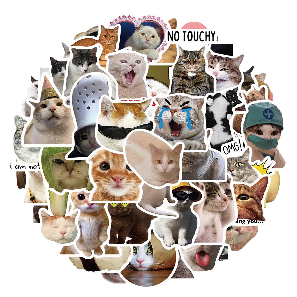 50 Hilarious Cat Expression Stickers for Phone Cases, Water Cups, and Skateboards - DIY Decoration