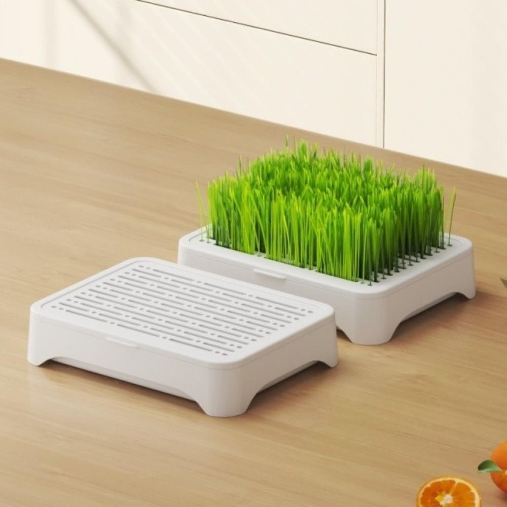 Self-planted Tray Hydroponic Tray Plastic Wheat Seedling Pot Sprout Tray Home Gardening