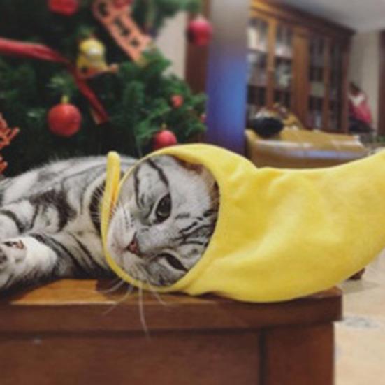 Pet Cap Fastener Tape Dress-up Soft Pet Cats Dogs Banana Beanie Cap for Festival