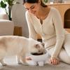 Large Capacity Pet Bowl for Cats and Dogs, -Spill Elevated Feeder with Neck, Non- Four-Leg Base, Stylish Design
