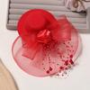 Exquisite Vintage Fascinator Hat Pearl Small Top Hat Retro Mesh Hair Clip Lady