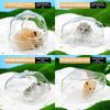 Cheese Shape Hamster Sand Bath Box Plastic Small Animal Bathtub Hamster Litter Box  for Small Pets
