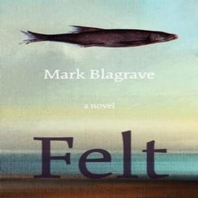 Felt by Mark Blagrave Paperback Book 9781770867567