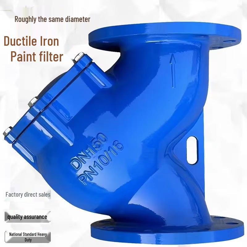 DN80 Gusseisen Y-Form Flanschfilterventil