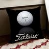 Brand TTitleistT Cushion Cover Reversible Soft Durable Pillow Cover Home  Car MultiScene Use for Daily Comfort