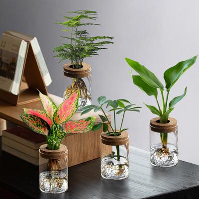 Decorazioni per la casa – Vasi