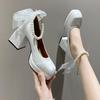 NEW Spring Autumn Woman’s Shoes Mary Jane High Heels Chunky Pumps Sweet Square Head Elegant Shoes for Female