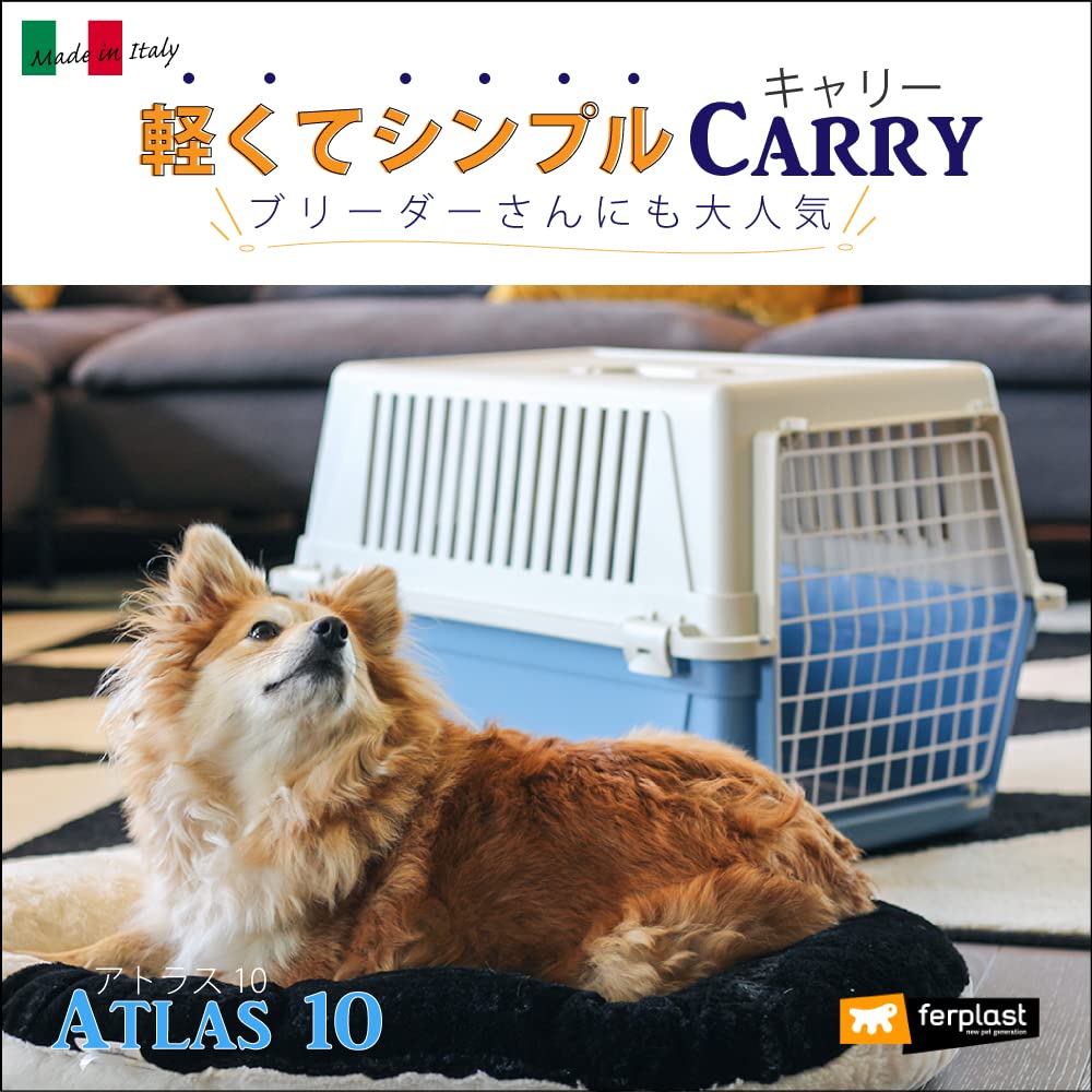 Ferplast Atlas 10 Hunde- und Katzentransportbox 73007099 (Zufällige Farbe)
