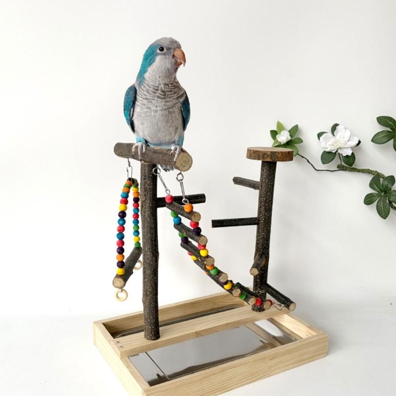Natural Wood Bird Perches Toy Colorful Beads Climbing Ladder And Swinging Toy For Parakeets Cockatiels