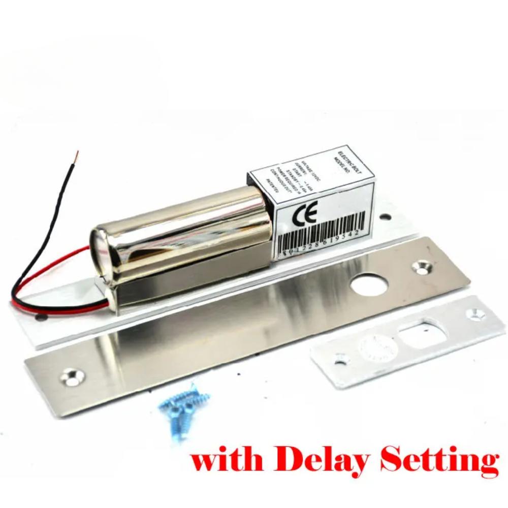 Elektrisches Riegelschloss, Niedrigtemperatur-Verzögerungseinstellung, DC 12 V, Edelstahl, Hochleistungs-Ausfallsicherung, Falltür, Zugangskontrolle
